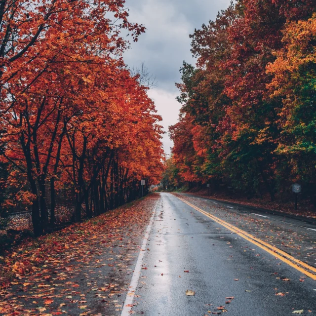 Instagram post 18046521787451230